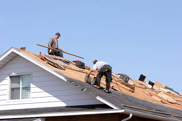 Best Emergency Roof Repair Services  in Story City, IA